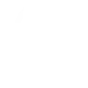 Dollar icon