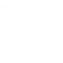 reporter icon